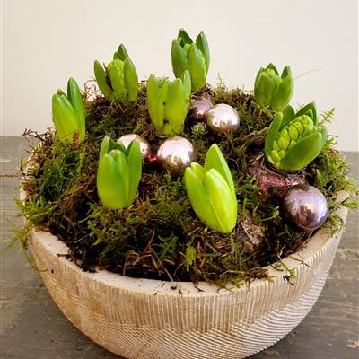 Hyacinth bowl
