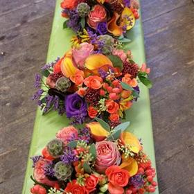 fwthumb20161105_0939002.jpg