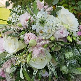 fwthumb20180526_101900.jpg