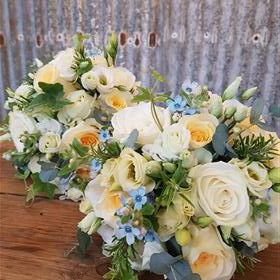 fwthumb20180904_085603.jpg